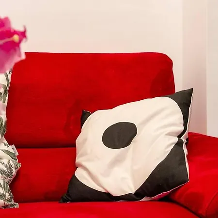Penthouse Raggio Apartment